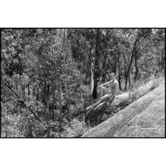 3G9A1916-Edit